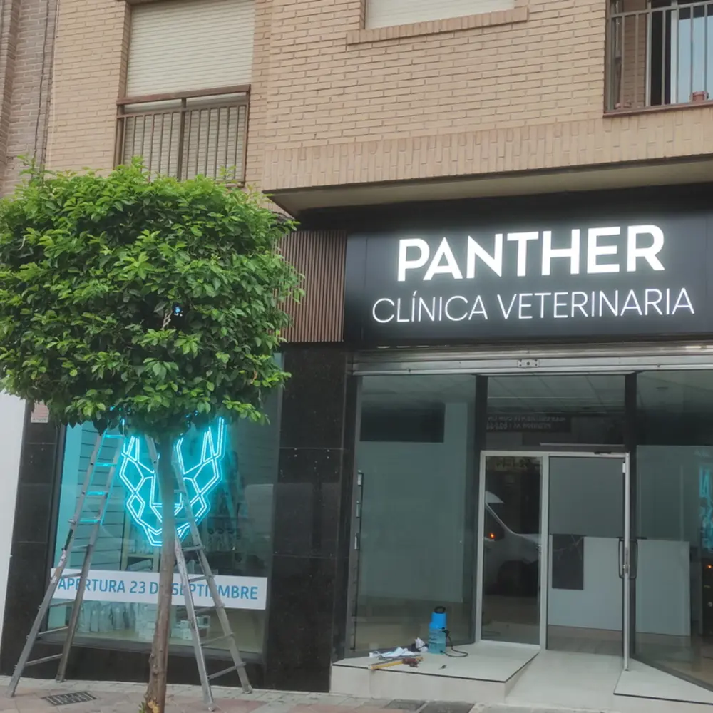 Rótulos luminosos para fachadas comerciales en Murcia
