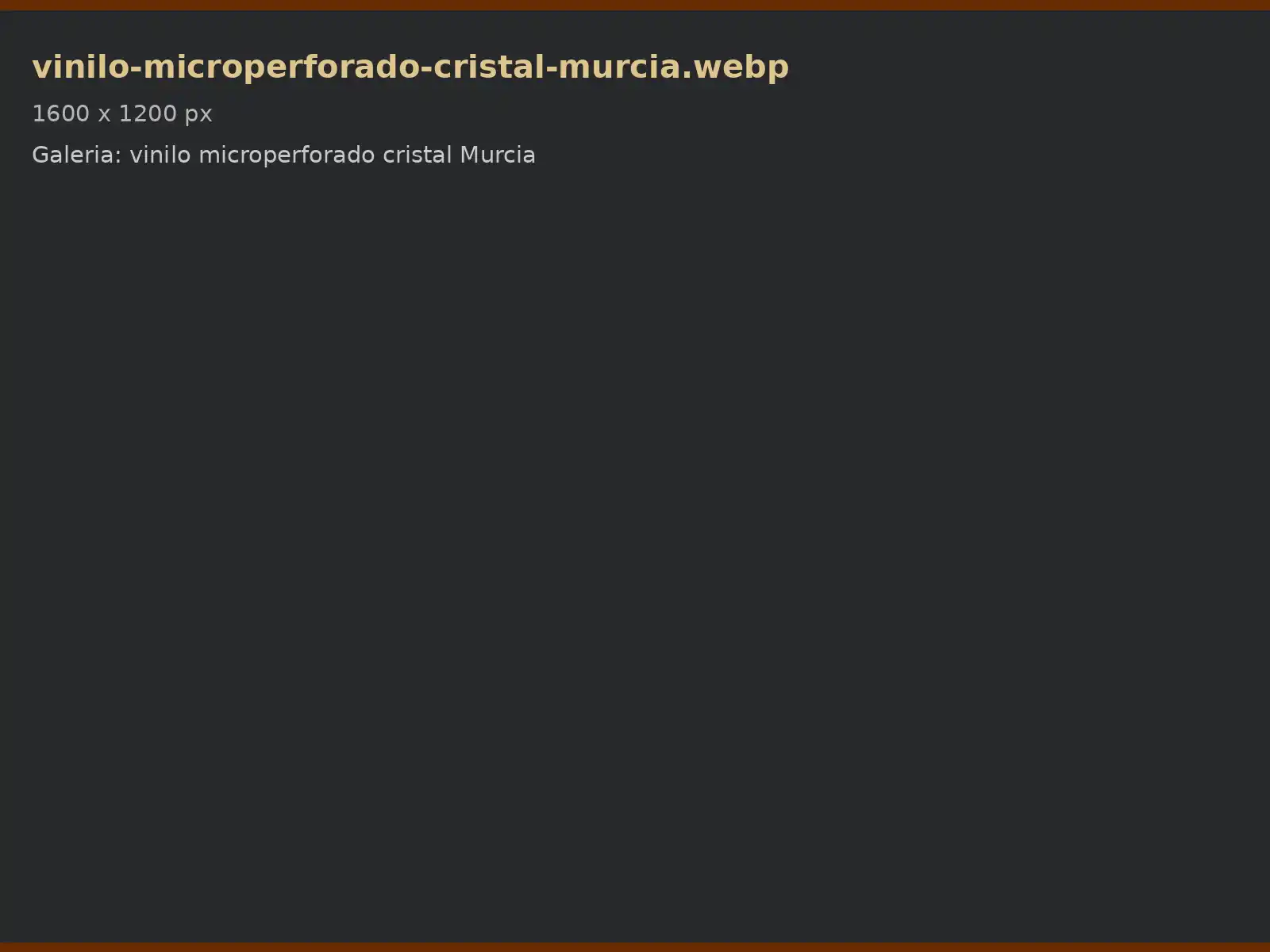 Vinilo microperforado en cristal en Murcia